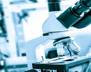 Diploma in Medical Laboratory Technology - Lisie College Of Allied ...